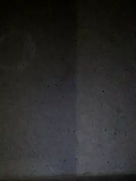 Leocesar37 webcam