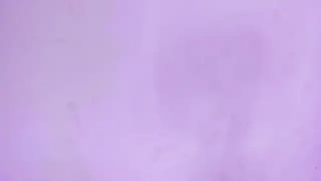 Mia_Tailor_Bms webcam