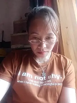 Stella-456 webcam