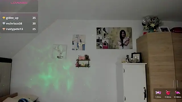 Veronikolsen- webcam