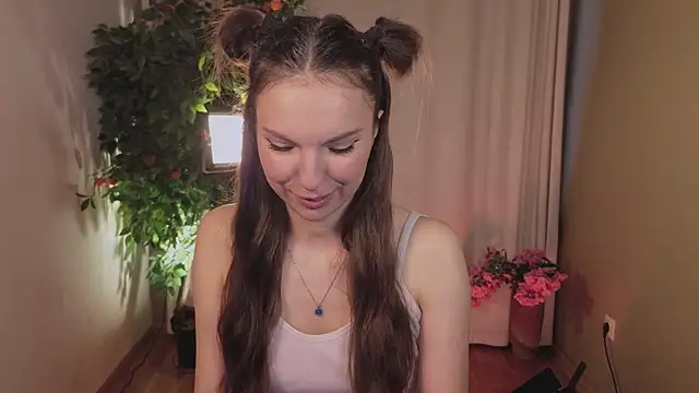 Alice-Lidel webcam