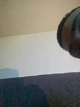 Taylor_DiamondBoy webcam