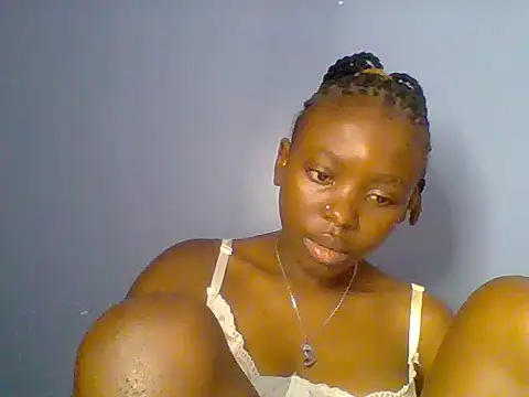 Chocolate-brownie webcam