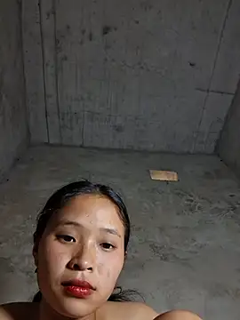 Liss-mimi webcam