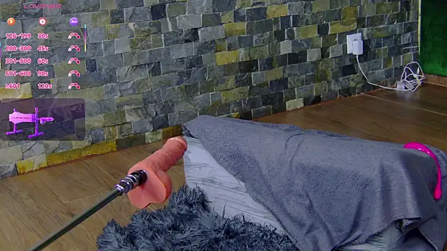 SelenSummer webcam