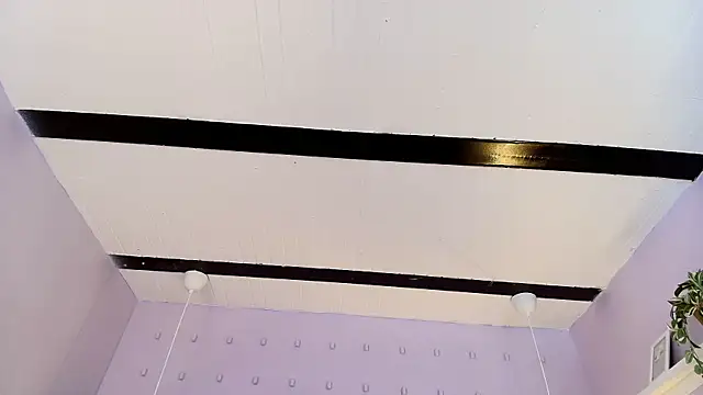 Nalapalmer webcam