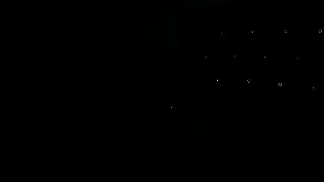 Gaia_n_Nix live cam