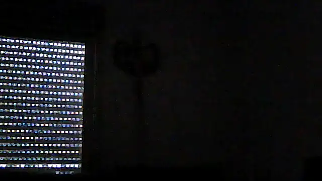 SirFrankonde webcam