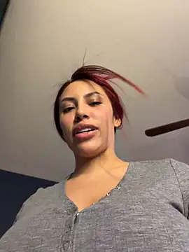 shaarebaare webcam
