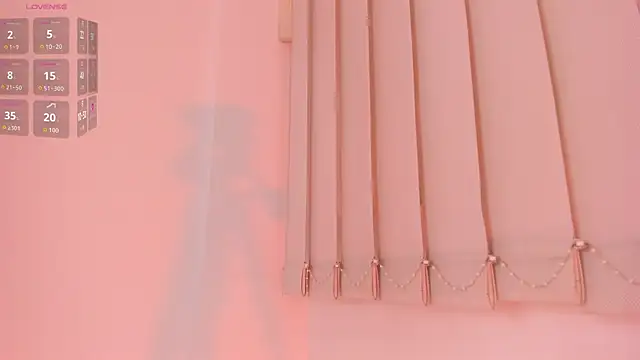 Catalinaa_white webcam
