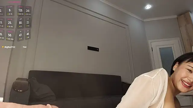 hangiho webcam