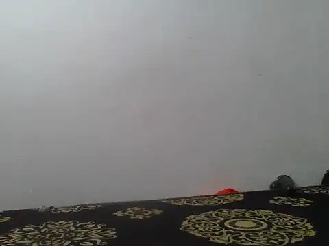 sweet-boob webcam