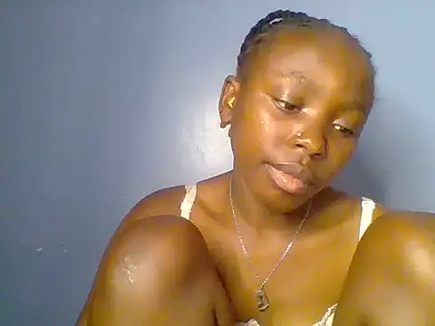Chocolate-brownie webcam