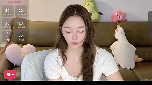 Alin250 webcam