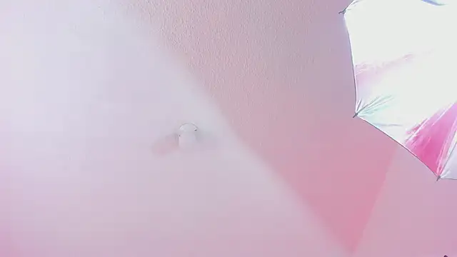 Aily_star webcam