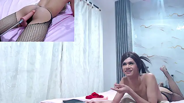 sofi_boll25 webcam