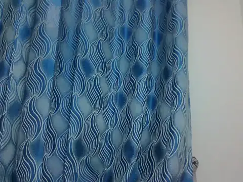 PrettyEve webcam