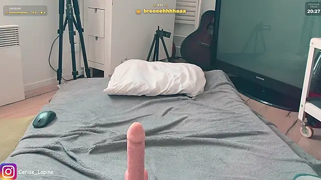 CeriseLapine webcam