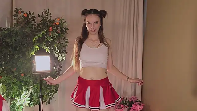 Alice-Lidel webcam