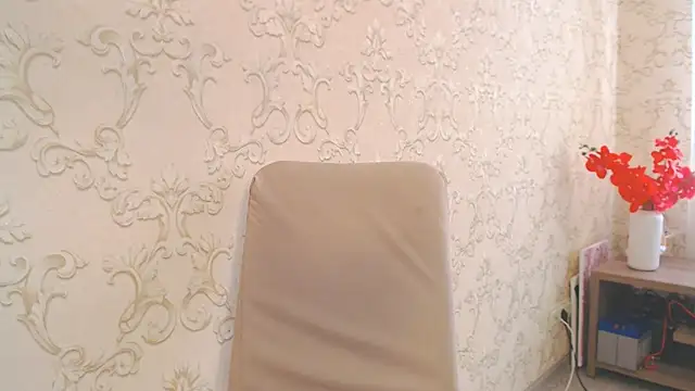 DolphinDreams webcam