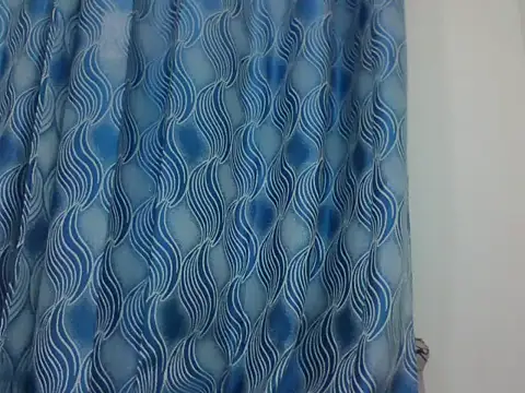 PrettyEve webcam