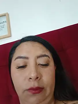 Blue_angel1 webcam
