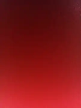 Dug_1x webcam