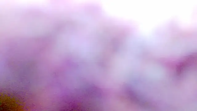Dolldirtyxxx webcam