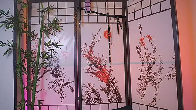 Greiz_SubKimura webcam