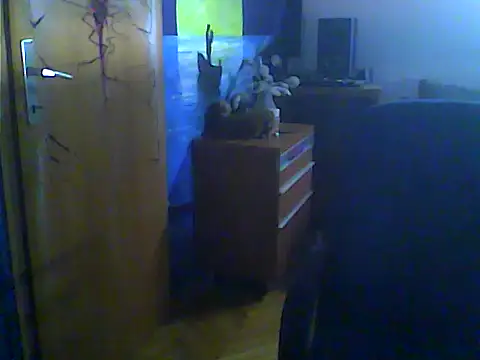 Dejanaceking webcam