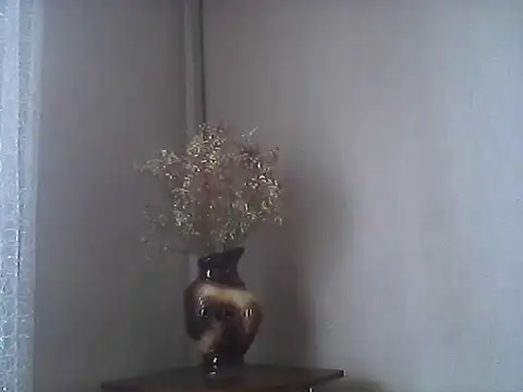 Littlecatme webcam
