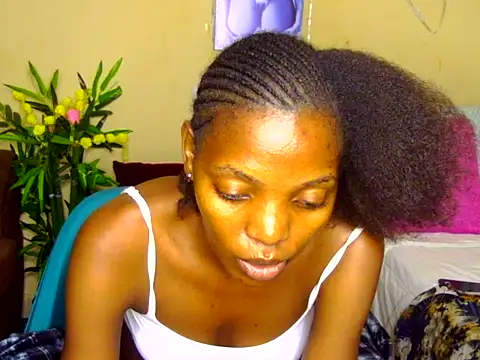 Savourni webcam