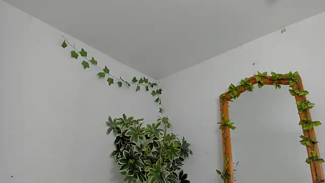 ShegoBlake webcam