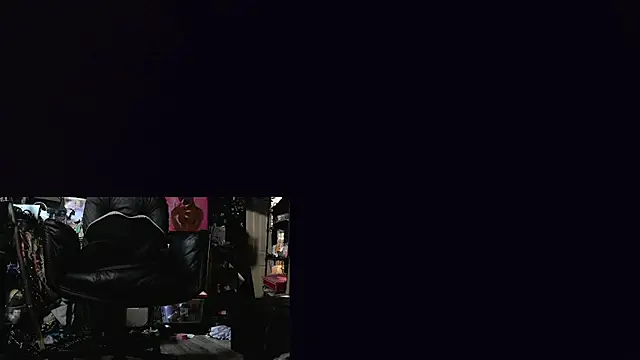 Sinstresshemlock webcam