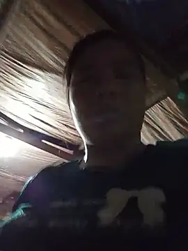 ice1-2e webcam