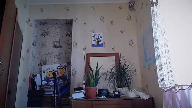 dream_alexa webcam