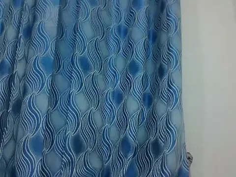 PrettyEve webcam