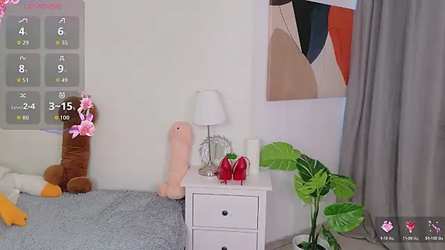 Mira_Falls webcam