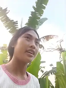 Hoa-tuylip webcam
