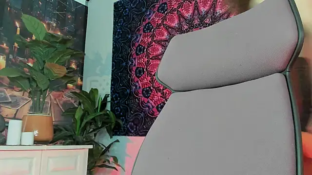 LidaDarknet webcam
