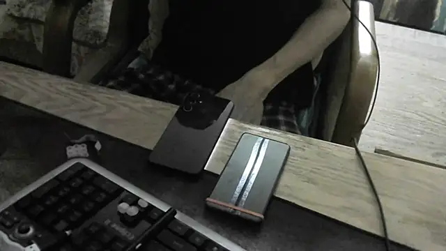 FiSTALiTY webcam