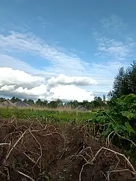 _uncle_Mitya-43_ webcam
