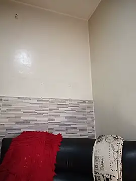 AvaChannel webcam