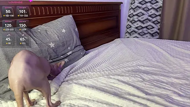 VerniceEngelking webcam