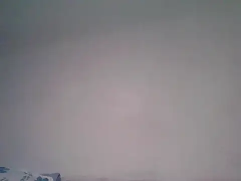 cum_queen254 webcam