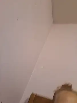 bam420bam webcam