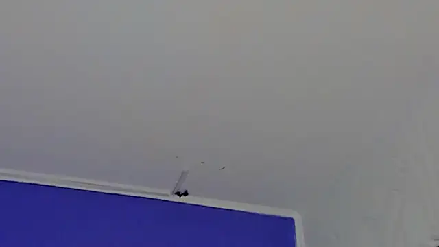 Aura_sun live cam on StripChat