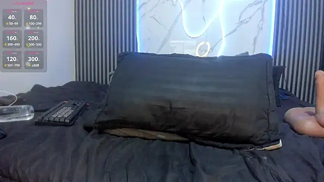 Morochaa-fire webcam