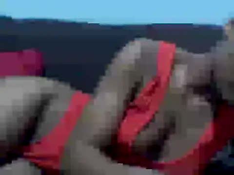 cocolicky webcam
