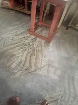 menakshiiikaur webcam